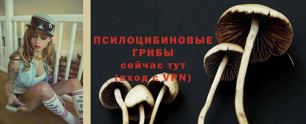 круглые Бородино