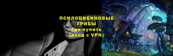 spice Богданович