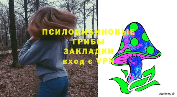 герыч Богородск