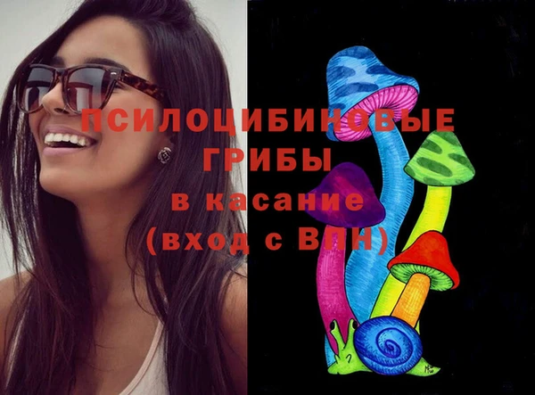 круглые Бородино