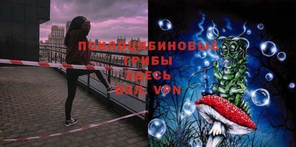 jwh Богородицк