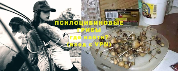 jwh Богородицк