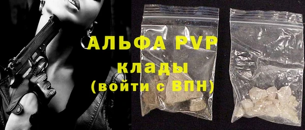 spice Богданович