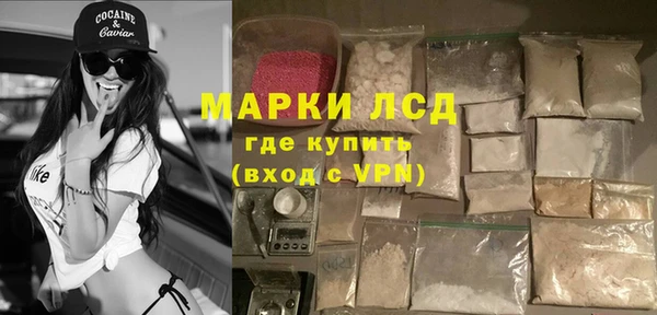 spice Богданович