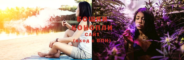 круглые Бородино