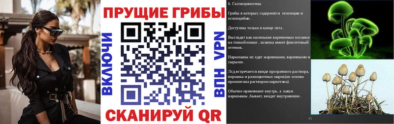 Галлюциногенные грибы Cubensis Волчанск